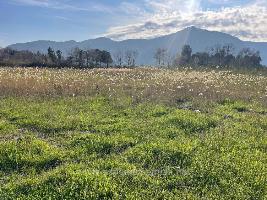 6800 M2 Plot Of Land For Sale In Dalyan With 5% Residential Zoning.
