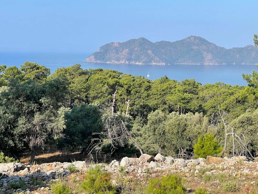 Bargain Real Estate Land For Sale With Sea View In Ekincik Çandır Arasın