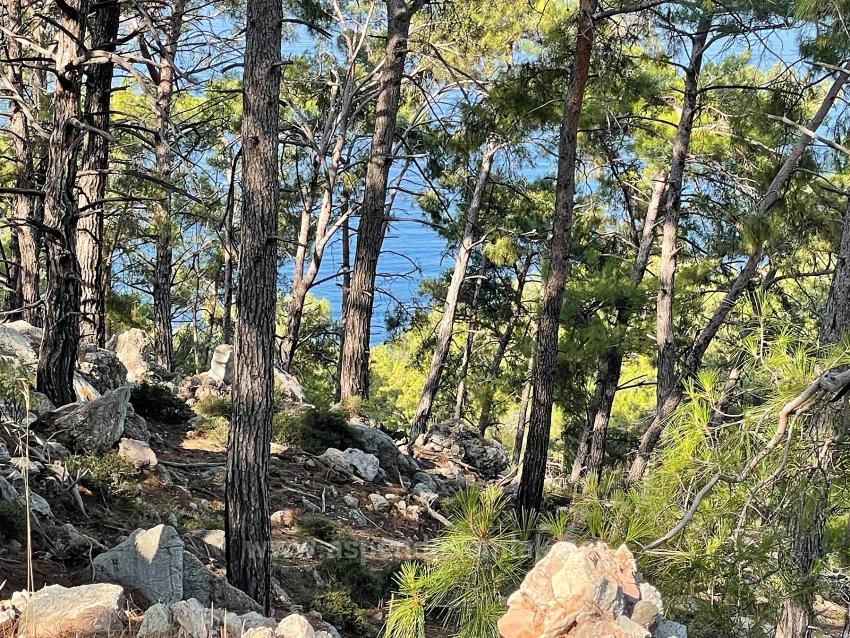 Bargain Real Estate Land For Sale With Sea View In Ekincik Çandır Arasın