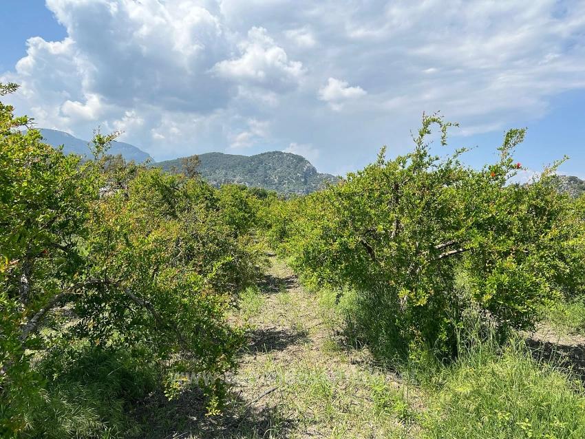 5,100 M² Plot Of Land For Sale In Dalyan, Maraş Area, Zoned For 5% Residential Use.