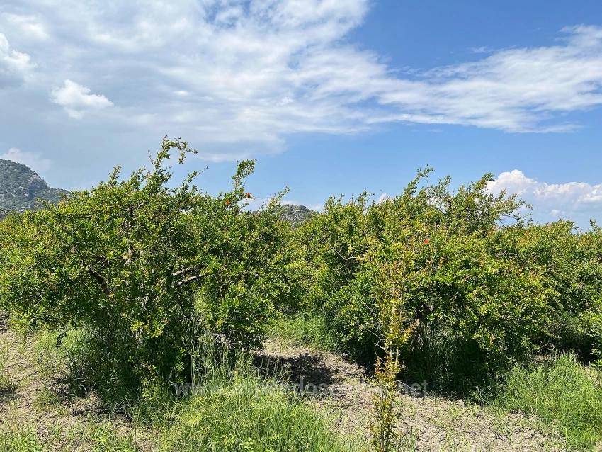 5,100 M² Plot Of Land For Sale In Dalyan, Maraş Area, Zoned For 5% Residential Use.