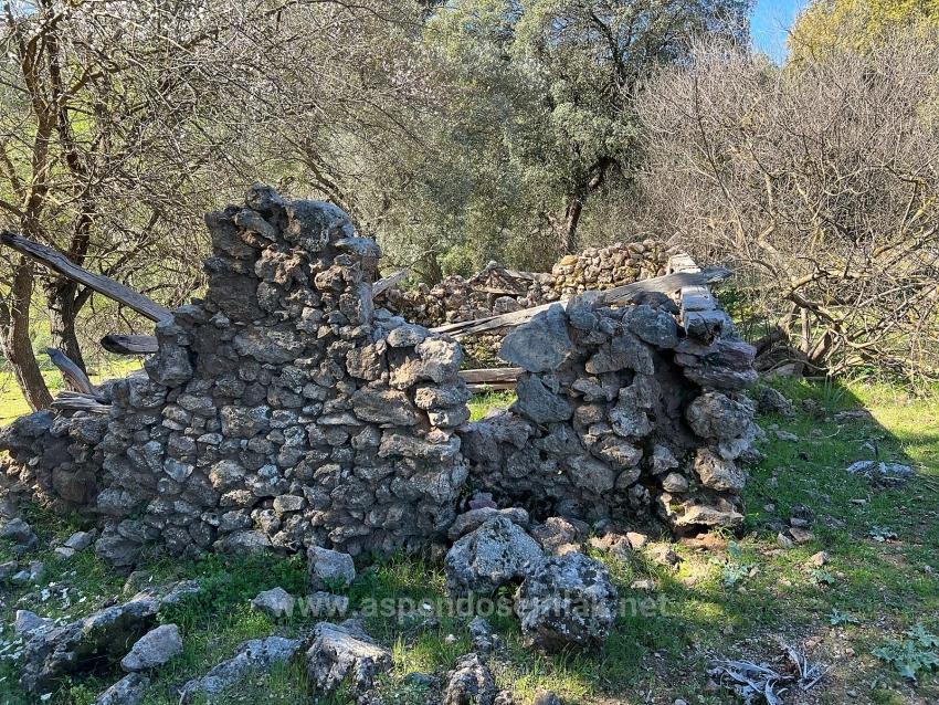 Land For Sale In Gökbel, Surrounded By Nature And Forest.