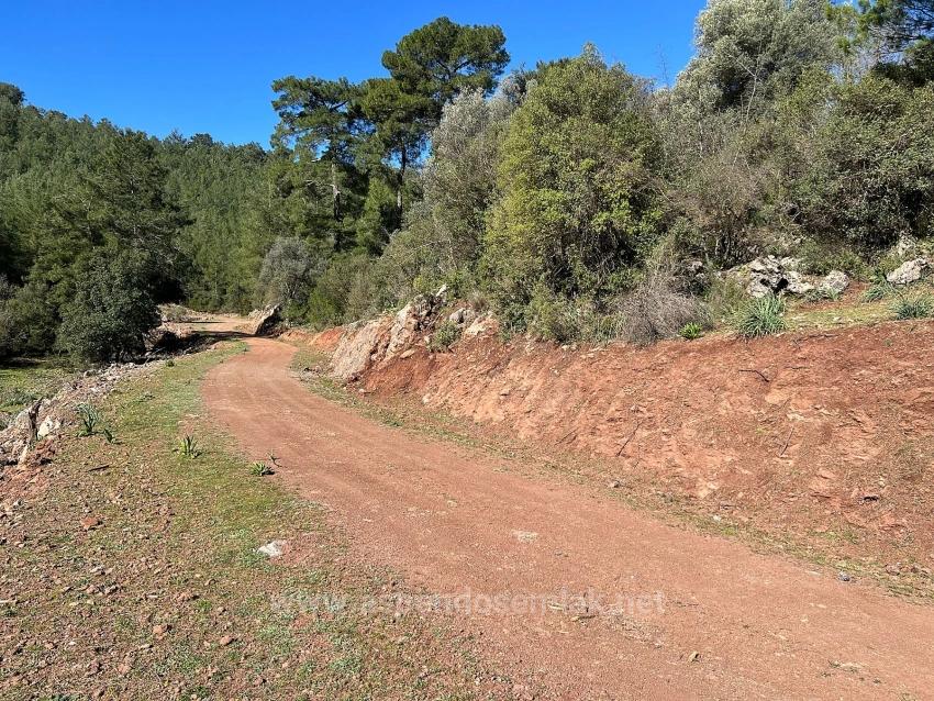 Land For Sale In Gökbel, Surrounded By Nature And Forest.