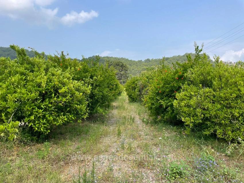 7800M2 Land For Sale In Gökbel, Next To Iztuzu Beach Road
