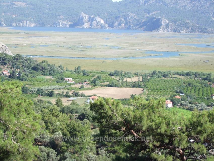 19,334 M² Plot Of Land For Sale In Çandır, Köyceğiz.