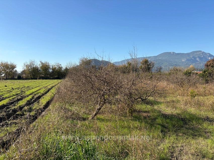 4,541 M² Garden For Sale In Dalyan.