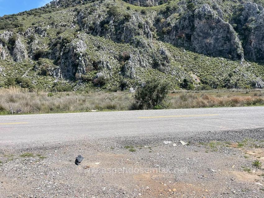 19,600 M² Plot Of Land For Sale, Located Directly On The Road To Dalyan Iztuzu Beach.
