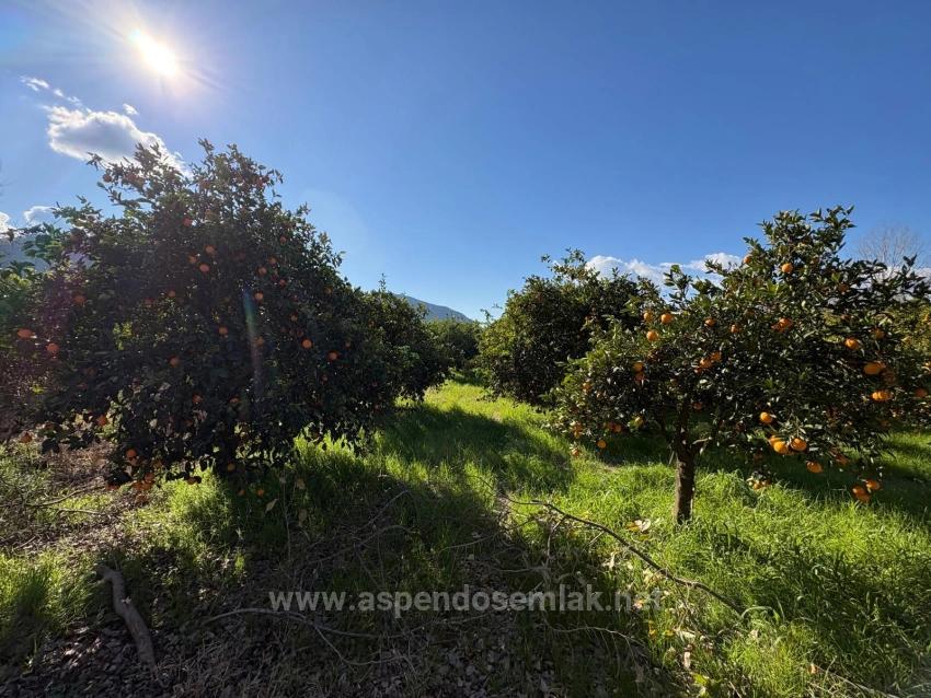 4,326 M² Plot Of Land For Sale In The Residential Area Of Okçular.