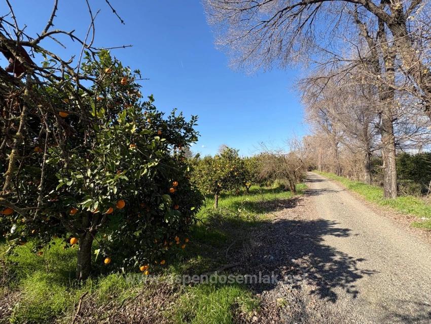 4,326 M² Plot Of Land For Sale In The Residential Area Of Okçular.