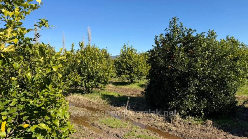 2.218M2 Land For Sale In Okçular Marmarlı