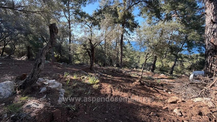 2B Field Of 5715M2 For Sale With Full Sea View In Çandır