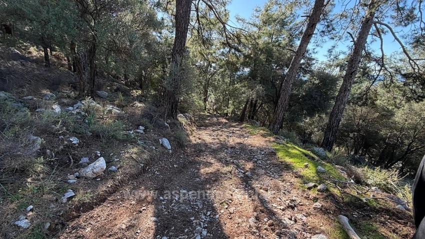 2B Field Of 5715M2 For Sale With Full Sea View In Çandır