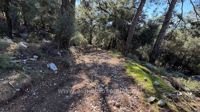 2B Field Of 5715M2 For Sale With Full Sea View In Çandır