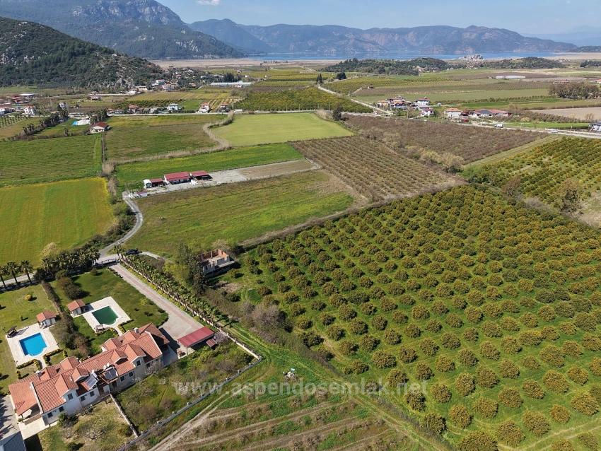 17.550M2 Vineyard-Bahce For Sale Close To Dalyan Center