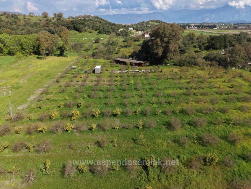 Tourism-Oriented Business For Sale On An 11,000 M2 Plot Of Land In Eskiköy.