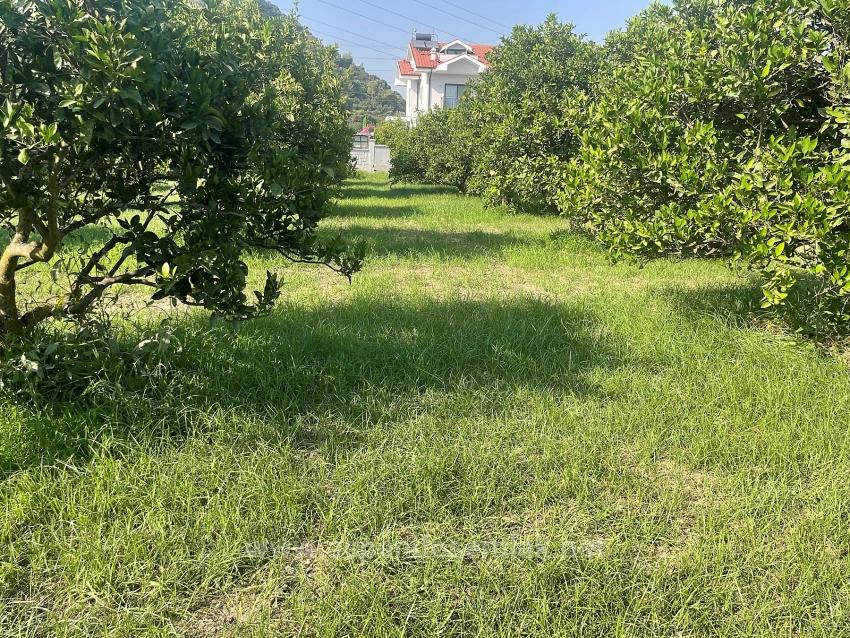 722M2 Land For Sale In Dalyan Gülpınar