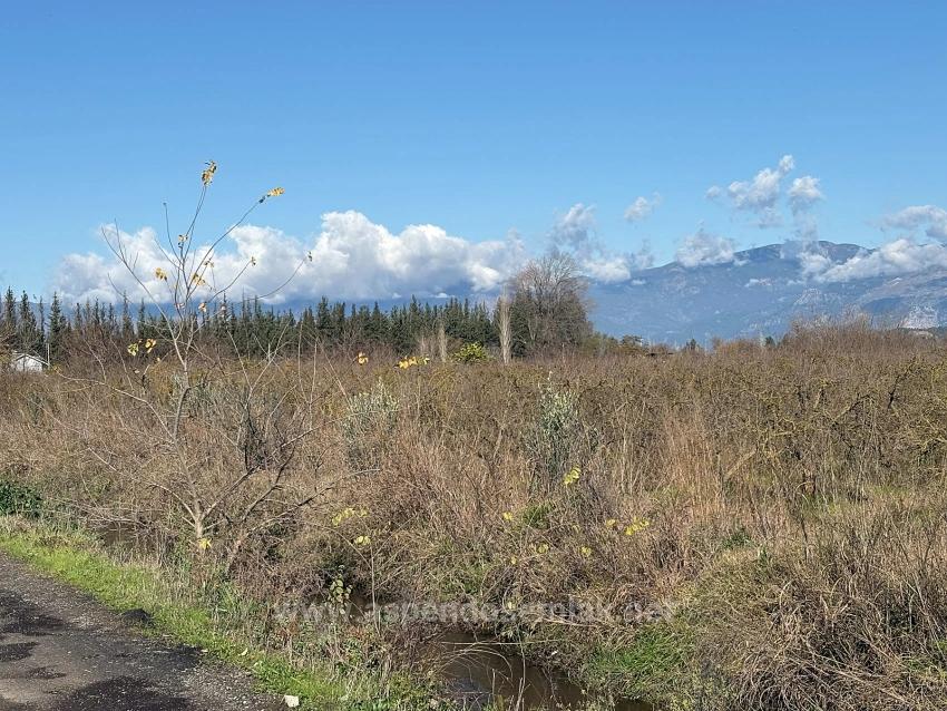 23,000M2 Detached Field And Garden For Sale In Tepearasın