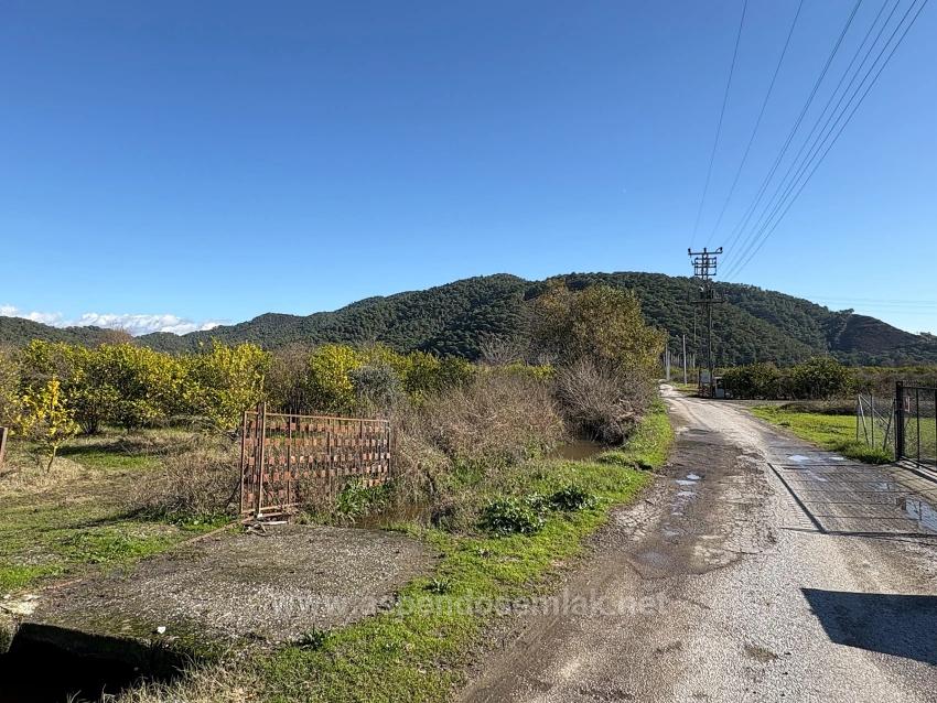 23,000M2 Detached Field And Garden For Sale In Tepearasın