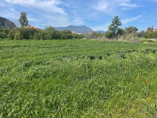 Archers' In Okçular'da 736M2 Olan 250M2 Construction Licensed For Sale Plot