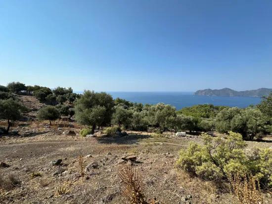 Field with sea view, 21.000 m2, 2b, for sale In Çandır