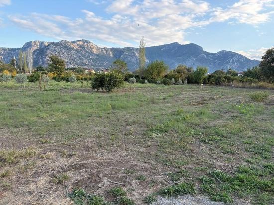 7,450 M² Plot Of Land For Sale In Dalyan With 5% Zoning.