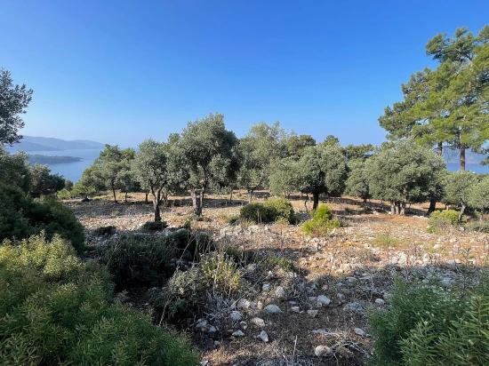 Bargain Real Estate Land For Sale With Sea View In Ekincik Çandır Arasın