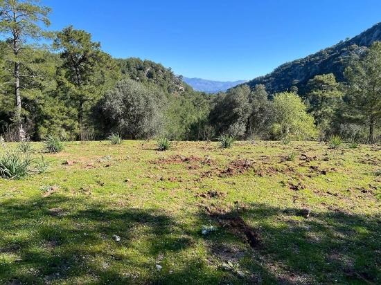 Land For Sale In Gökbel, Surrounded By Nature And Forest.