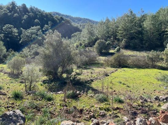 Land For Sale In Gökbel, Surrounded By Nature And Forest.