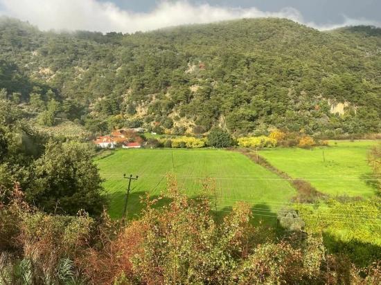 35,000 M² Farm Land For Sale In Çandır, Köyceğiz.