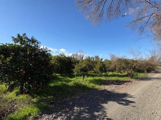 4,326 M² Plot Of Land For Sale In The Residential Area Of Okçular.