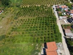 Land For Sale In Okçular, 1050M2, In The Village Residential Area.
