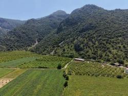 5100M2 Plot Of Land For Sale Near Dalyan Town Center.