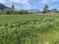 Land For Sale in Okçular Nbh. Ortaca - Housing Zoned - 736 m²