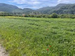 Land For Sale in Okçular Nbh. Ortaca - Housing Zoned - 736 m²