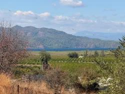 Field For sale in Dalyan Nbh. Ortaca - Field Zoned - 5.000 m²