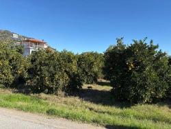 Land For Sale in Ekşiliyurt Nbh. Ortaca - Housing Zoned - 1.085 m²