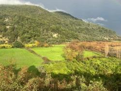 Terrain For Sale in Çandır Nbh. Köyceğiz - Field Zoned - 35.000 m²