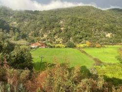 35,000 M² Farm Land For Sale In Çandır, Köyceğiz.