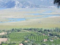 Field For Sale in Çandır Nbh. Köyceğiz - Field Zoned - 19.334 m²