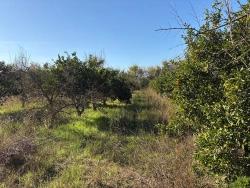 Field For Sale in Dalyan Nbh. Ortaca - Field Zoned - 4.541 m²
