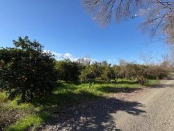 Land For Sale in Okçular Nbh. Ortaca - Housing Zoned - 4.326 m²