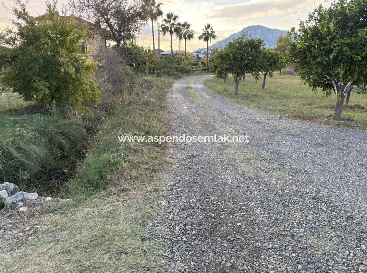 7,450M2 Land For Sale Close To The Center Of Dalyan