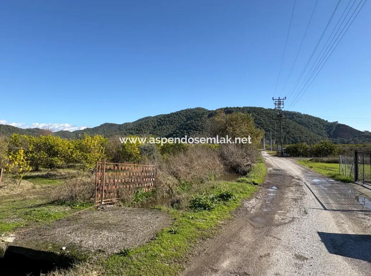 23,000M2 Detached Field Garden For Sale In Tepearasin,