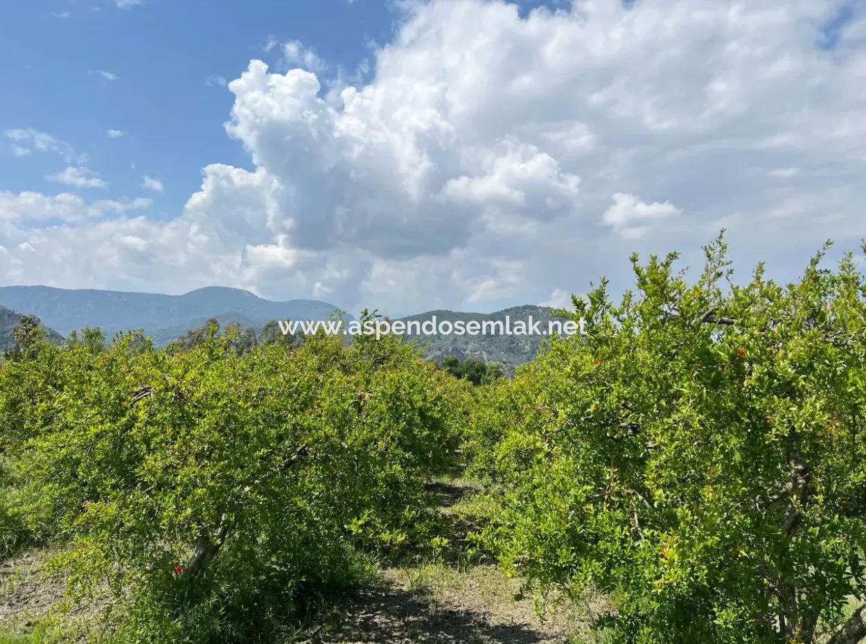 5,100M2 Land For Sale In Dalyan Maraş Area With 5% Residential Zoning