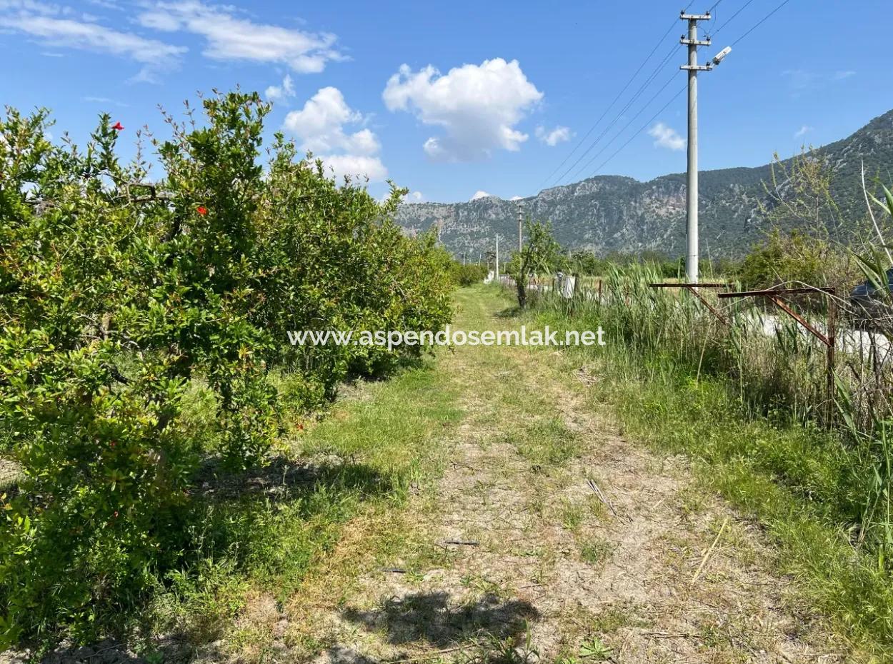 5,100M2 Land For Sale In Dalyan Maraş Area With 5% Residential Zoning