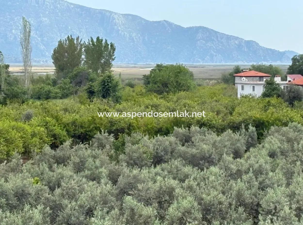 1,721M2 Land For Sale In Çandır Village With Sea And Lake Views