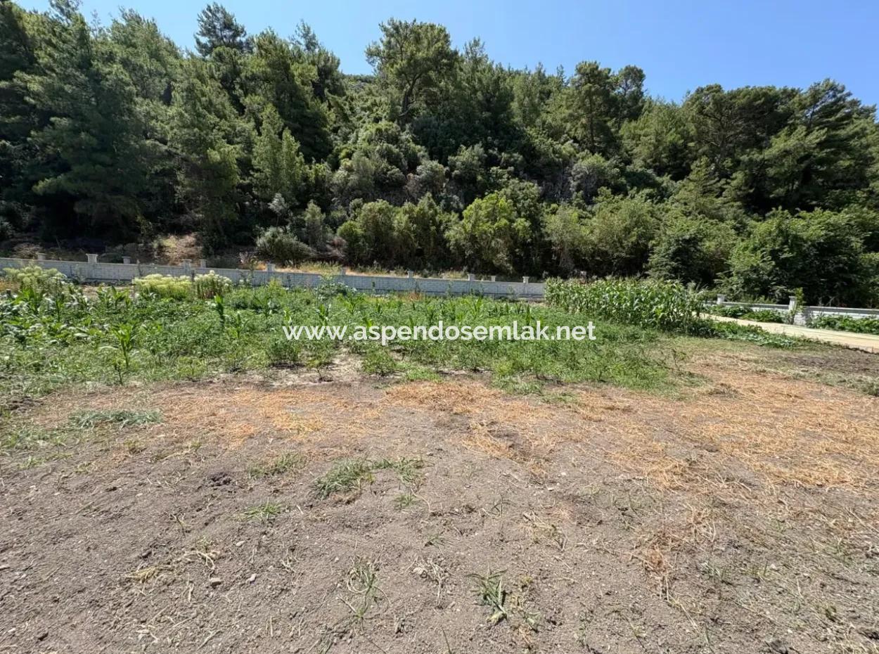 120M2 Detached Wooden House In A 2500M2 Field In Dalyan Karadağ