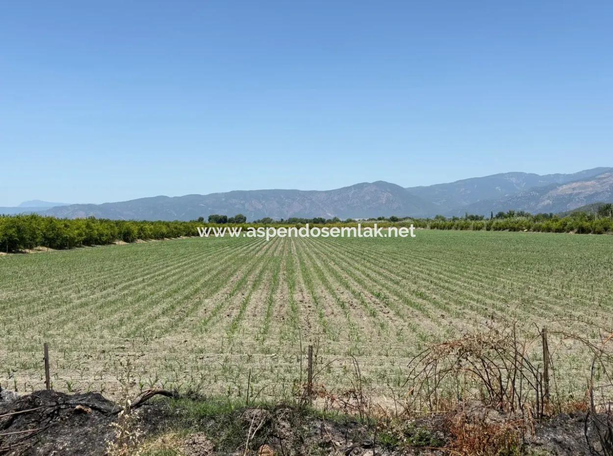 46,550M2 Land For Sale In Tepearası