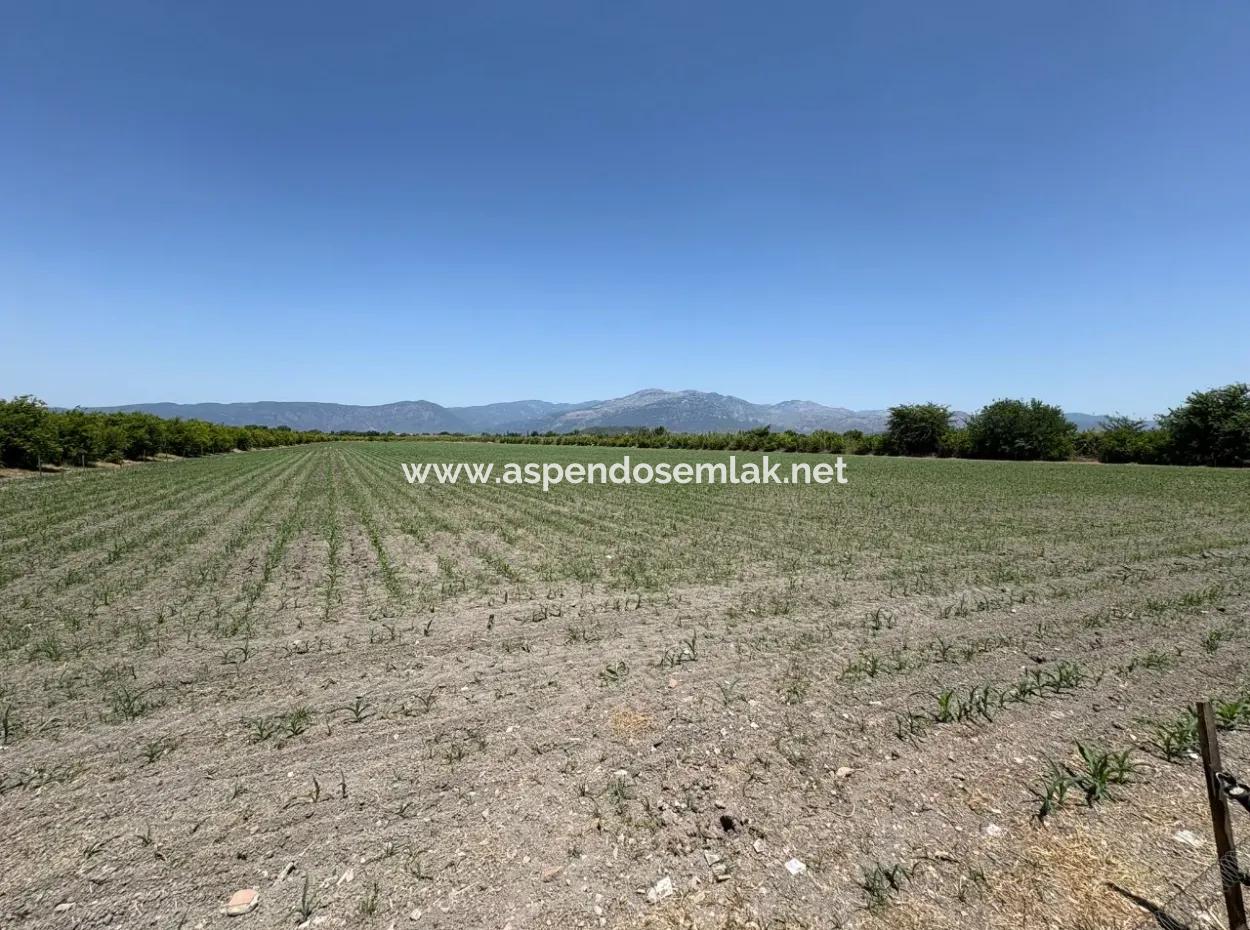 46,550M2 Land For Sale In Tepearası