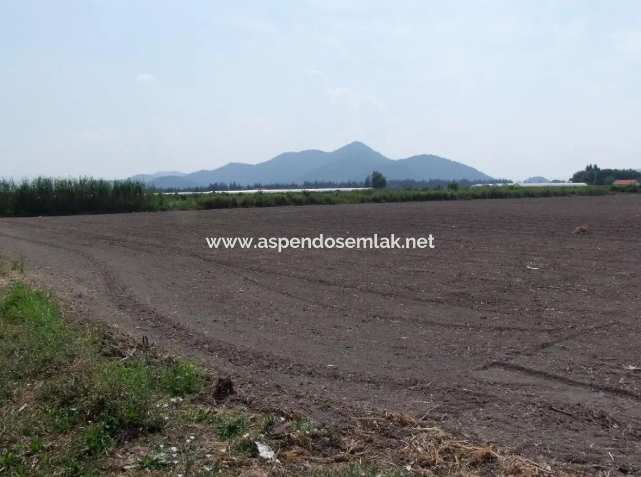 Farm For Sale In Dalyan Eskikoy Eskikoy Oriya 14,900M2 Plot For Sale Field